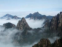 ���R�i�C���[�W�j