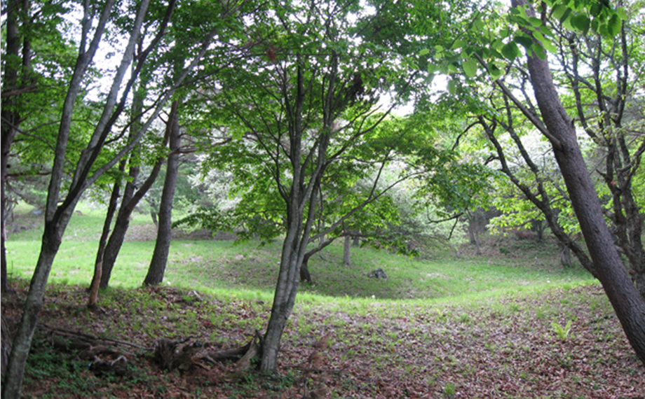 􍂌̓k[ɈʒuAꕶ̍s΍zRuvBEŌË̗jւ鍕s΂̍zRŁA݂ł͎jՌƂČJĂ܂Bꕶ̐lX̊Ղ邱Ƃł܂