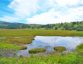 ̐ݏƂȂBꕶl̎̏ƂȂĂ܂