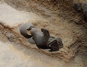 uʂ̏_v̏oy󋵂Č͌^iΓꕶlÊفj