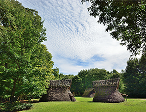 t̐XɒGZ6Aꕶl̕炵̊ł^