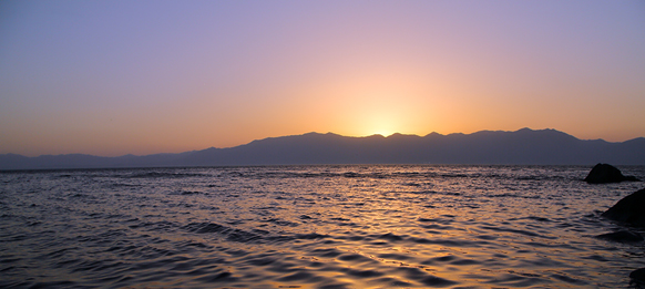 �����̐��[�Ɉʒu����Ώ㑑�B�q����e���X����́A�[���ɐ��܂���i�΂̐�i�𒭂߂邱�Ƃ��ł��܂�