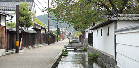 ��̉j�����H����ۓI�ȊX����