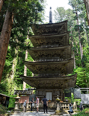 �H���R�̍���E�܏d���B150�N�Ԃ�ƂȂ������ʌ��J���s���Ă��܂��i2019�N11��30���܂Łj