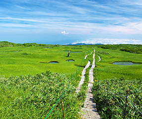 �Ă͍��R�A���̕�ɂƂȂ錎�R�����ڂ̖�Ƀ��������B�W��1984m�̎R������͏��������]��360�x�̑�p�m���}���y���߂܂��B�R���̌��R�_�Ђɂ͌��ǖ��i����݂݂̂��Ɓj���܂��Ă��܂�