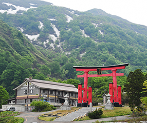 �o�H�O�R�̉��{�E���a�R�_�ЁB���̎R�ő̌��������Ƃ́u���Ȃ��ꕷ���Ȃ���v�ƌÂ������߂��A�_��I�ȕ��͋C�ɂ܂�Ă��܂�(�ʐ^�͓��a�R�_�Ж{�{�֑������̓�����ɗ��咹���j