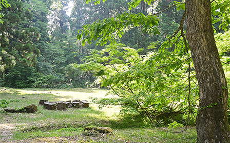 �O�̍�̘e�����s�����Ƃ���ɂ���������Î�̒n�B���Ă͉H���R�̒��S���ł����B���͒r�ƒ뉀�Ղ݂̂��c���Ă��܂�