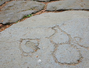 �Βi�ɂ͂Ђ傤�����u�Ȃǂ̊G�����ꍞ�ނ悤�ɒ����Ă��܂��B33���ׂČ�����Ɗ肢�������Ƃ�