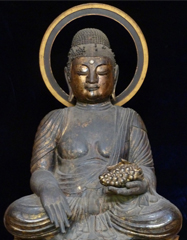 ��������ɂ�����P����t�@�����B5�N��1�x�̌�J���i����2023�N�j