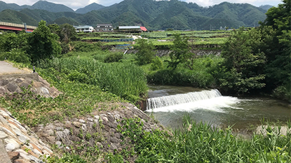 ����Ɖ݂͊ɐ݂���ꂽ�ΐς݂̒�h