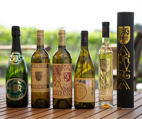 ���C�����x���́A�f�U�C�i�[�E�ȊэG���̍�i�B�L�ꂳ��́u���E�ɒʂ���u�����h�v�Ƃ����v�������߂��f�U�C���Ȃ̂�����