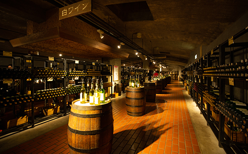 ���A���[�A�Ԃ̃��C�������Ԓn�����C���J�[���i�����Ɂj�B�����̉��x��1�N��ʂ���18���ɕۂ���Ă��܂�