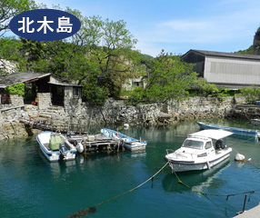 千ノ浜は丁場から切り出した石の積み出しを行っていた小さな港。その護岸は大小の端材を巧みに組み合わせて築かれています