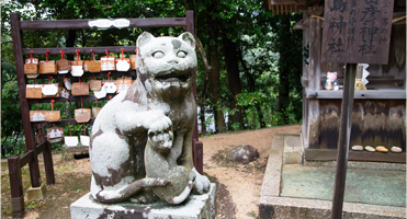 �u���L�i���܂˂��j�v�A�b