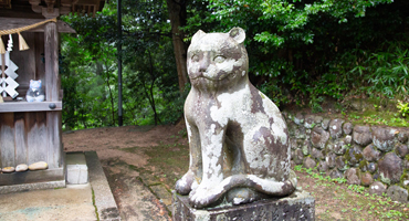 �u���L�i���܂˂��j�v�E��