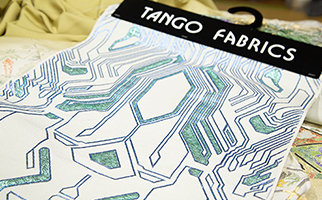 �d�q��Ղ����`�[�t�ɂ����O�タ��߂�̐��n