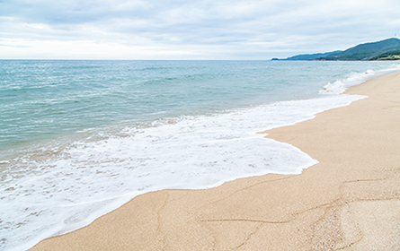 ���ݕ����Ɓu�L���b�L���b�v�Ɖ�������u���v�ŗL���ȋՈ��l�i���O��s�j�B�߂��ɂ́u�Ո��l���������فv������A���ɂ��Ċw�Ԃ��Ƃ��ł��܂�