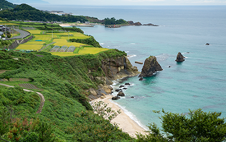 �R�A�C�݃W�I�p�[�N�ɔF�肳��Ă���O�㔼���k���̊C�݁B�����ɂ͂܂�ś����̂悤�ȁu������v�i���O��s�j������A�O��̐�i���L����܂�