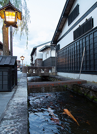 ���R�Ƃ͂ЂƖ��Ⴄ������������ˌÐ�̒�����