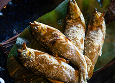 �q�������̉��Ă�