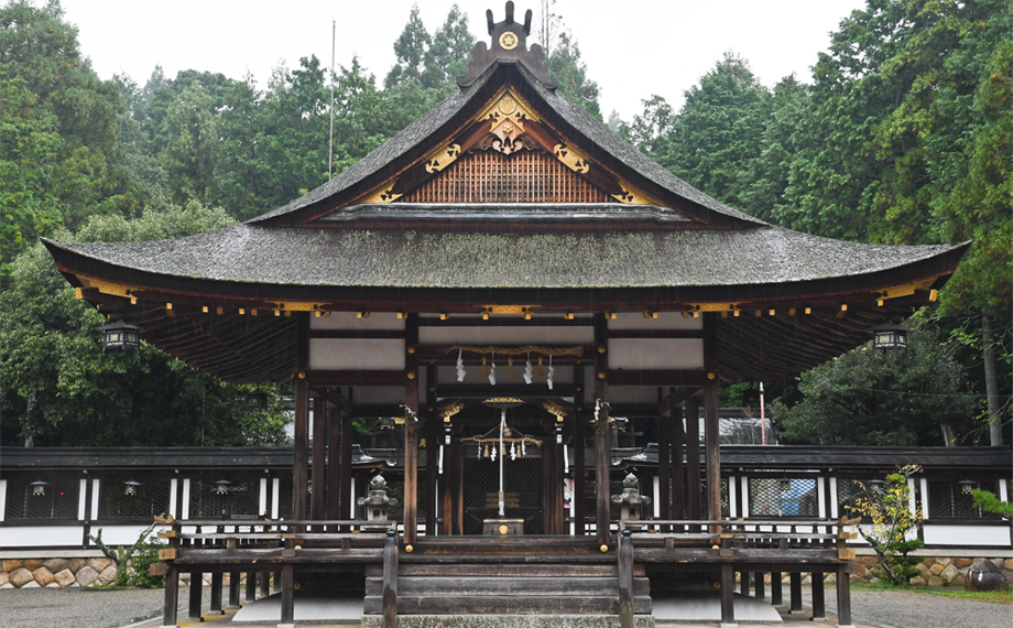 �b��O�����c���s�����Ƃ����咹�_��