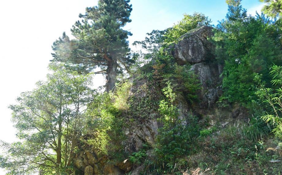 ��������ꂪ�A�Ȃ�ѓ��R�́A�ߍ]�̑��R�Ƃ������A�C�����̎R�Ƃ��ėL���ł�