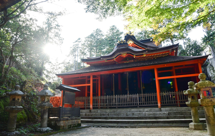 ���̏d�v�������ɂ��w�肳���ѓ��_�Ђ́A�C�����Ƃ��Ēm���Ă��܂���