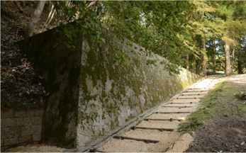 �ɉ�z���̓�����q�ŏo���������������̖�����