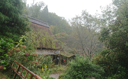 �ӂ�͗鎭�R�[�̌����тɈ͂܂�Ă��܂�