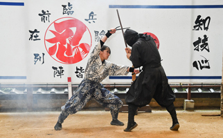 ���ۂ̔E���p������������������͔��͖��_