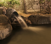 ����͓��A��������\�ł�