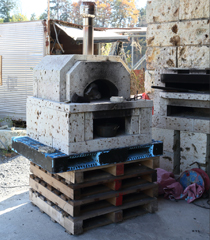 ��J�΂̉��ԊO�����ʂ𐶂������s�U�q