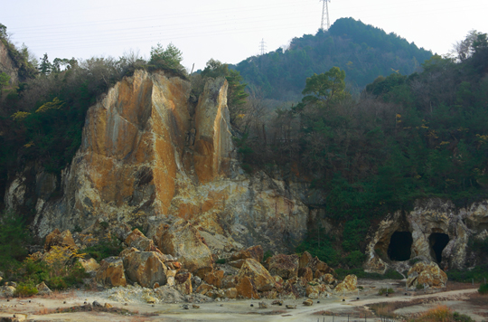 �L�c���̐�R���Ώ�B���{�ŏ��߂Ď���̌����ƂȂ铩�΂�������܂���