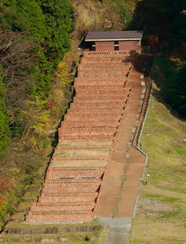 �g�������̓o��q�B������ʐ��Y���邽�߂ɑ傫�ȗq���z���ꂽ����