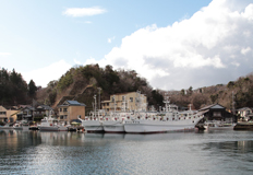 �C�J�ނ�D���┑���鏬�؍`�B6�`12���̃C�J�ނ�̎����͂�������o�`���܂�