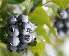 7����{�`8�������n��