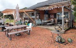 ����̔������C�𒭂߂Ȃ���̂�т�x����