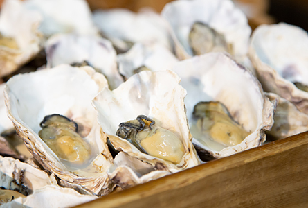 ディナービュッフェでは、例年秋〜冬に「牡蠣フェア」を開催。蒸籠蒸し(写真)や牡蠣釜飯、牡蠣フライのフォンデュなどを味わえます